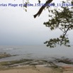 078 Cap Esterias Plage et Arbre 15E5K3IMG_113692wtmk.jpg
