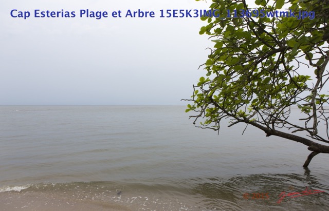 080 Cap Esterias Plage et Arbre 15E5K3IMG_113695wtmk.jpg