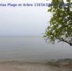 080 Cap Esterias Plage et Arbre 15E5K3IMG_113695wtmk.jpg