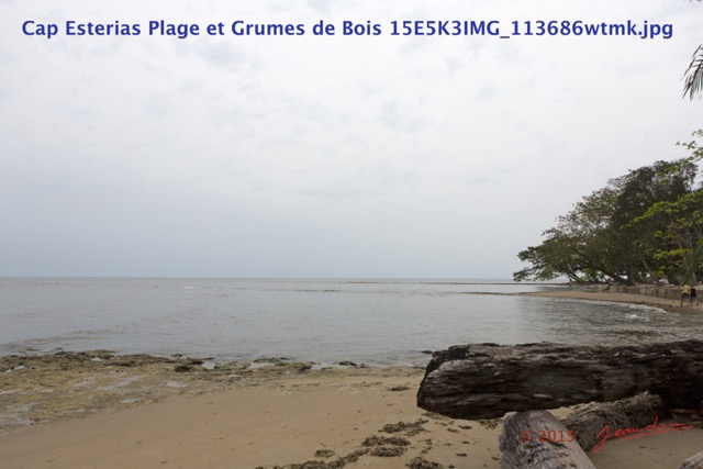 082 Cap Esterias Plage et Grumes de Bois 15E5K3IMG_113686wtmk.jpg