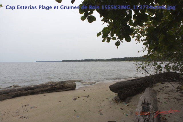 084 Cap Esterias Plage et Grumes de Bois 15E5K3IMG_113734wtmk.jpg