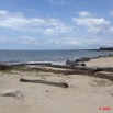 021 NYONIE Plage et Troncs Arbre 9E5K2IMG_53837wtmk.jpg