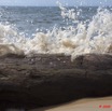 027 NYONIE Plage et Troncs Arbre 9E5K2IMG_53840wtmk.jpg