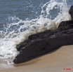 028 NYONIE Plage et Troncs Arbre 9E5K2IMG_53849wtmk.jpg