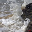 033 NYONIE Plage et Troncs Arbre 9E5K2IMG_53854wtmk.jpg