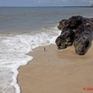 034 NYONIE Plage et Troncs Arbre 9E5K2IMG_53856wtmk.jpg