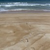 028 GOMBE Pas sur la Plage 10E5K2IMG_60874wtmk.jpg
