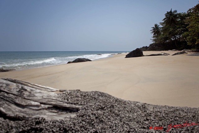 031 GOMBE Tronc sur la Plage 10E5K2IMG_60887wtmk.jpg