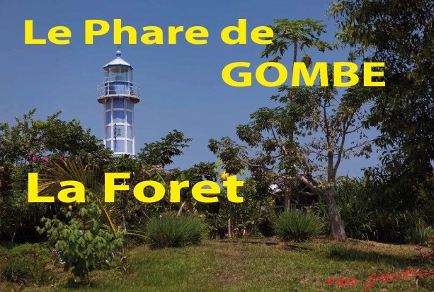 045 Titre Photos Gombe la Foret.jpg