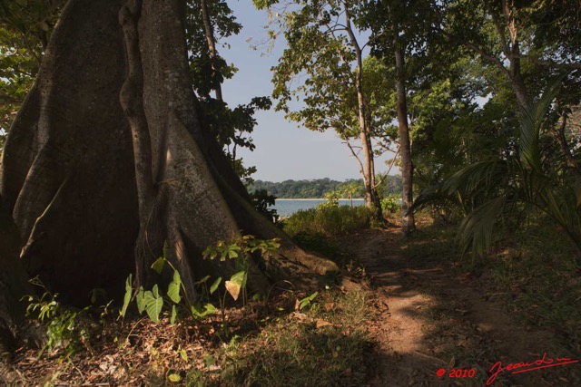 057 GOMBE Plage et Arbre Fromager Kapok 10E5K2IMG_61002wtmk.jpg