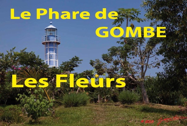 082 Titre Photos Gombe les Fleurs.jpg