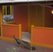 089 GOMBE Oiseau Paon devant la Chambre 10E5K2IMG_61170wtmk.jpg