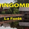 025 Titre Photos Wingombe la Foret.jpg