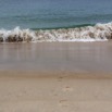 060 WINGOMBE Traces de Pas sur la Plage 9E5K2IMG_56799wtmk.jpg