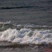 068 WINGOMBE Vague Mourante 9E5K2IMG_56703wtmk.jpg