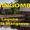 071 Titre Photos Wingombe Lagune.jpg
