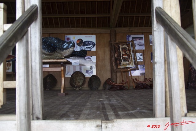 092 WINGOMBE Musee de la Tortue 9E5K2IMG_56591wtmk.jpg