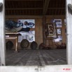 092 WINGOMBE Musee de la Tortue 9E5K2IMG_56591wtmk.jpg