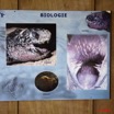 094 WINGOMBE Musee de la Tortue 9E5K2IMG_56596wtmk.jpg