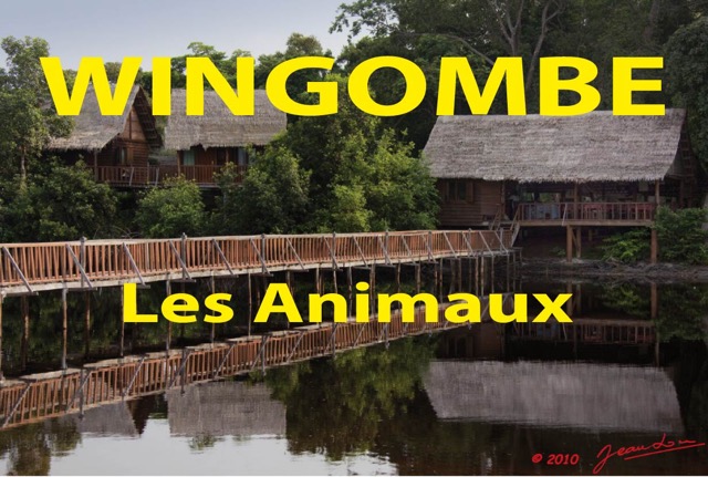 096 Titre Photos Wingombe les Animaux.jpg