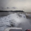 118 WINGOMBE le Retour 9E5K2IMG_56901wtmk.jpg