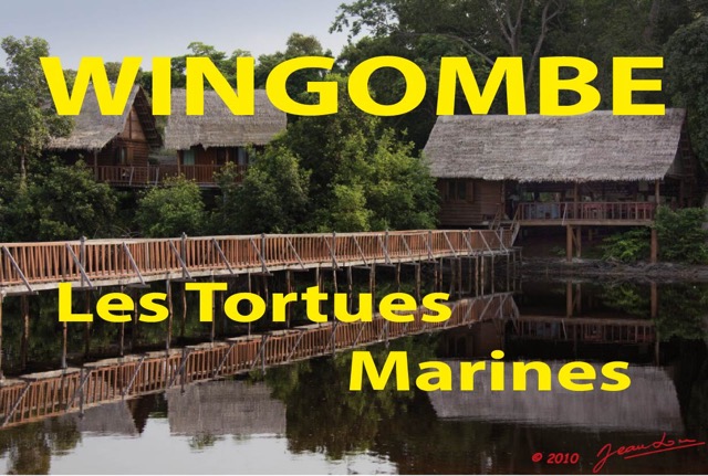 002 Titre Photos Wingombe les Tortues.jpg
