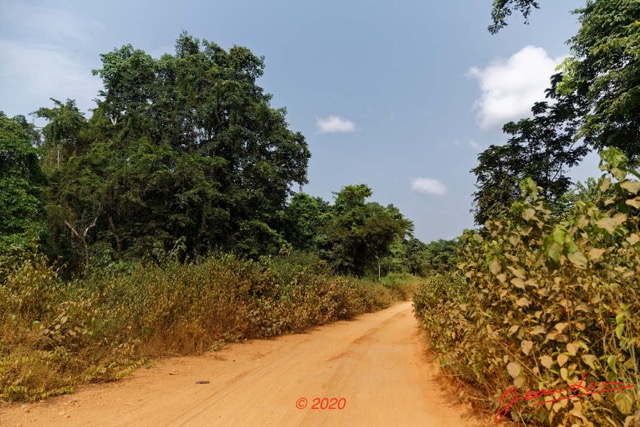 105 Piste Alembe-Offoue 04 Laterite et Vegetation 20E5M3IMG_200107153318_DxOwtmk 150k.jpg