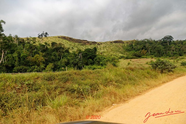 132 Piste Offoue-Alembe 05 Savane et Vegetation 20E5M3IMG_200122154105_DxOwtmk 150k.jpg