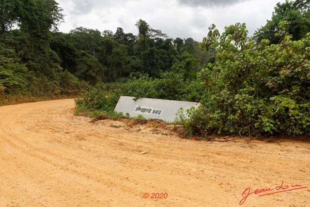 151 Piste Offoue-Alembe 05 Vegetation et Container Accidente 20E5M3IMG_200122154167_DxOwtmk 150k.jpg