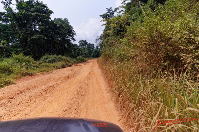 189 Piste Offoue-Alembe 05 Vegetation et Laterite 20E5M3IMG_200122154269_DxOwtmk 150k.jpg