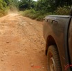 190 Piste Offoue-Alembe 05 Vegetation et Laterite avec Cailloux Emergeants 20E5M3IMG_200122154270_DxOwtmk 150k.jpg