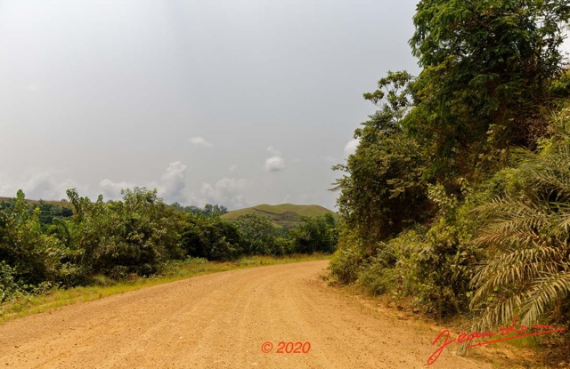 233 Piste Offoue-Alembe 05 Vegetation et Laterite 20E5M3IMG_200122154395_DxOwtmk 150k.jpg