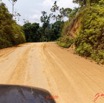 235 Piste Offoue-Alembe 05 Vegetation et Laterite 20E5M3IMG_200122154400_DxOwtmk 150k.jpg