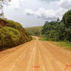 236 Piste Offoue-Alembe 05 Savane et Laterite 20E5M3IMG_200122154403_DxOwtmk 150k.jpg