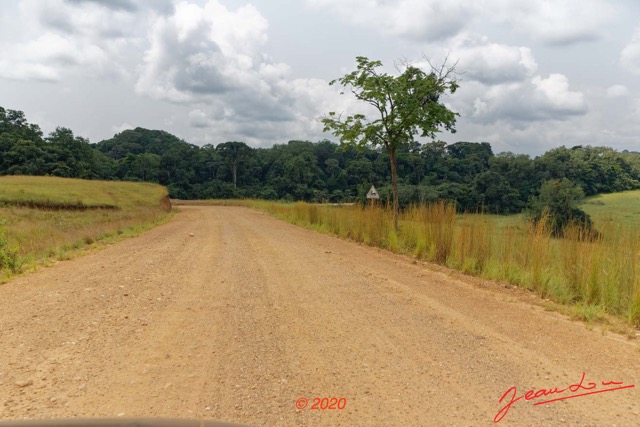 241 Piste Offoue-Alembe 05 Savane Vegetation et Laterite 20E5M3IMG_200122154419_DxOwtmk 150k.jpg