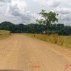 241 Piste Offoue-Alembe 05 Savane Vegetation et Laterite 20E5M3IMG_200122154419_DxOwtmk 150k.jpg