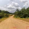 242 Piste Offoue-Alembe 05 Savane Vegetation et Laterite 20E5M3IMG_200122154422_DxOwtmk 150k.jpg