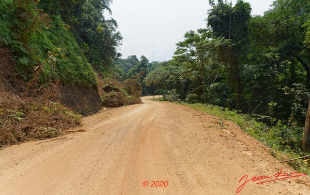 250 Piste Offoue-Alembe 05 Vegetation et Laterite avec Arbres Deracines 20E5M3IMG_200122154472_DxOwtmk 150k.jpg