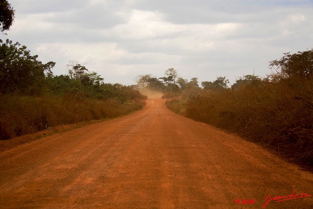 004 GABON Piste vers Mouila 8EIMG_23498wtmk.jpg