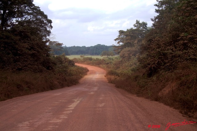 007 GABON Piste vers Fougamou 8EIMG_23511wtmk.jpg