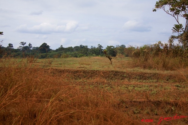 010 GABON Piste vers Fougamou 8EIMG_23506wtmk.jpg