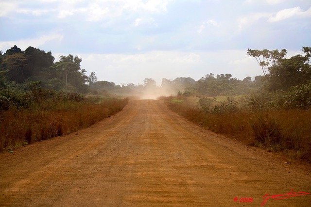 011 GABON Piste vers Fougamou 8EIMG_23507wtmk.jpg