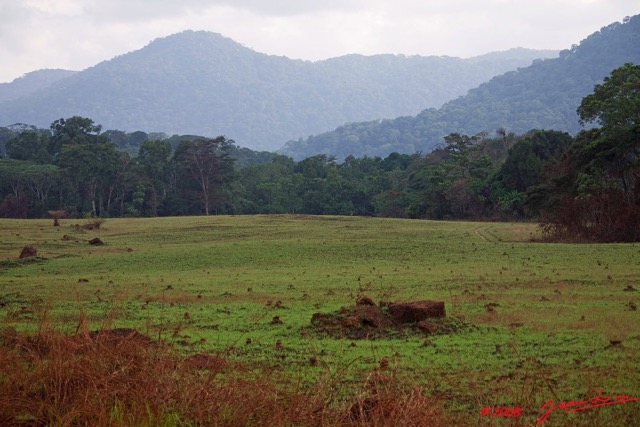 013 GABON Piste vers Fougamou 8EIMG_23515wtmk.jpg