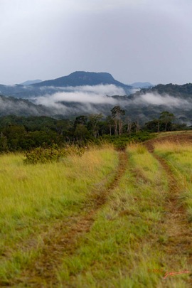 Campement-vers-Booue-la-Savane-le-Matin-12E5K2IMG_75941wtmk-Web