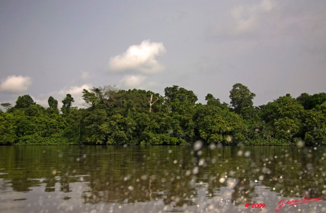 005 LAMBARENE Mission NGOMO Vegetation sur le Fleuve 8E5IMG_27995wtmk.jpg