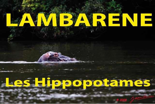 019 Titre Photos Lambarene Hippo.jpg