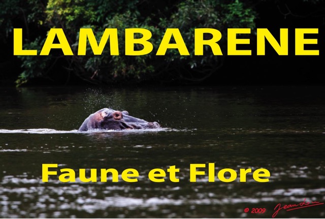 033 Titre Photos Lambarene Faune et Flore.jpg
