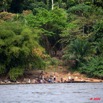 044 LAMBARENE Village sur le Bord du Fleuve 9E5K2IMG_51985wtmk.jpg