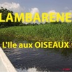 022 Titre Photos Lambarene Ile aux Oiseaux.JPG