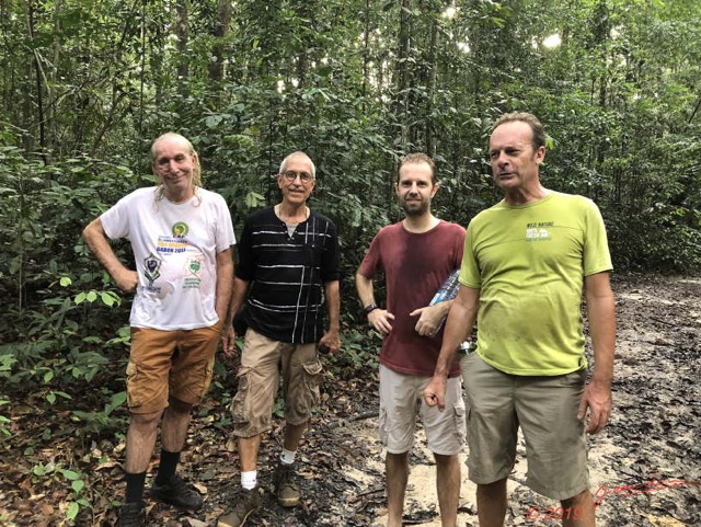 010 ARBORETUM Raponda-Walker 1 Daniel Jean-Louis Luc et Pierre 19IpXIMG_190330109356_DxOwtmk 150k.jpg